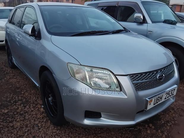 Toyota Corolla Fielder 2009 Silver