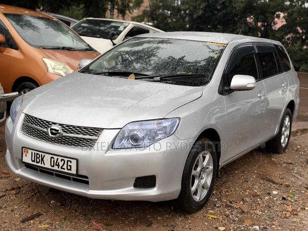 Toyota Corolla Fielder 2009 Silver