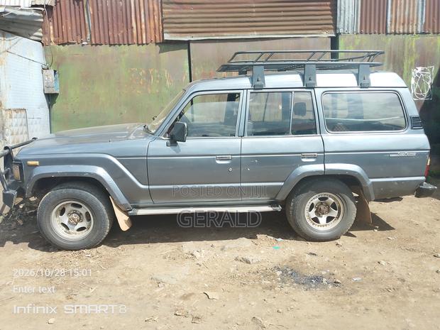 Toyota Land Cruiser Wagon 4.0 D 1989 Gray